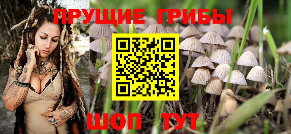 Костомукша  Галлюциногенные грибы ЛСД  Вход с VPN  Псилоцибиновые грибы прущие грибы 