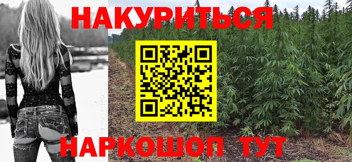 Конопля гибрид Костомукша